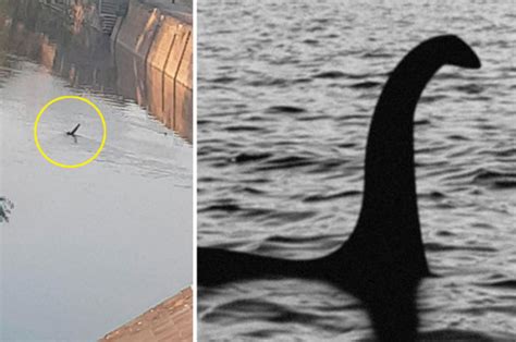 loch ness monster real footage